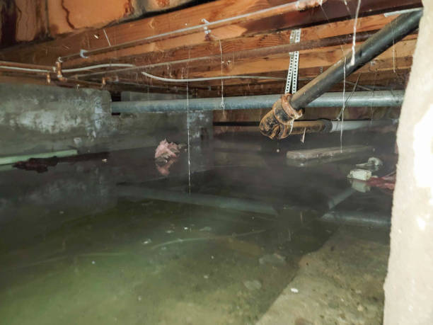 Best Ceiling water damage repair  in West Haven Sylvan, OR