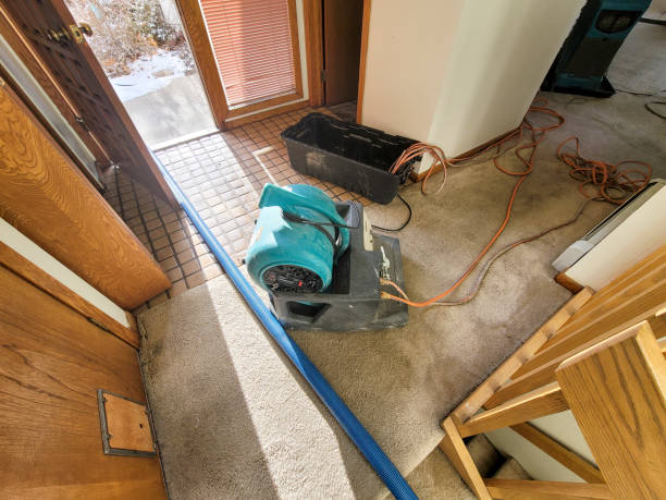 Best Water damage cleanup near me  in West Haven Sylvan, OR